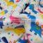 Digital Printing Minky Fabric Customized Pattern For Baby Blanket