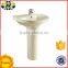 Ivary pedestal sanitary ware ceramic bathroom new model wash basin