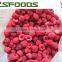 2015 crop IQF raspberry whole high quality