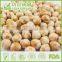 Halal Certified Healthy Snacks Wasabi Flavor Coated Chickpeas For Sale
