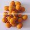 china origin size 9/11 peanut in shell for sale