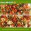 Professional Spices Manufacturer farm green,red bell pepper price for salad, soup