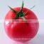 Top Quality Pink Tomato Seeds F1 Hybrid Chinese vegetable Seeds