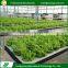 Fashion professional anti-rust polycarbonate industrial garden greenhouse