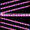 Wholesale 60W veg led grow light bar full specturm marshydro led grow light strip/ bar