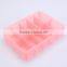 Hot Selling 10Grid Plastic Frosted Underwear Box