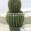 artificial cactus plant for indoor and outdoor decoration