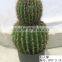Outdoor artificial cactus bonsai