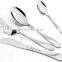 Stainless Steel Fork Cutlery Set