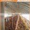 Heracles suppliers hot sale chicken poultry farm equipment