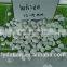 tumbled white pebble stone,white round pebble stone,small pebble stone