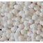 Activated Alumina