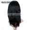 Brazilian Virgin Hair Wig Human Hair Lace Front Wigs for Black Women