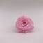 Ever Lasting Rose Love Flower Wedding Festival Decoration