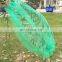 Green PE plastic date palm cover bag with strong black rope