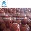 Africa Market Low Pressure Oxygen Acetylene Gas Cylinder -38