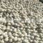 custom print organic reusable laundry wool felt dryer balls 6 packs