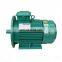 motor electric 3000kw