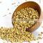 Fine Grade Organic Coriander Seeds At Your Door Step