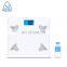 Factory Supply Private Labelling Cardio Fat Measuring Digital Display Smart WIFI Body Fat Scale
