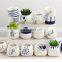 Meaty white porcelain flowerpot green plant flower pot hand-painted creative ceramic mini pot