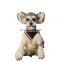 Custom Print Design Dog Apparel Product Brand Summer Cool Pet Happy Birthday Clothes