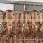 Wholesale dried seafood frozen dried squid fillet