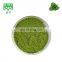 Factory supply wholesale price natural organic spinach extract beta ecdysterone