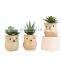 Home Decor Artificial Plant Faux Artificial Plastic Gree Mini Succulent Plants With Owl Animal Pot