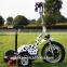 3 wheels electric scooter