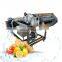 high pressure air bubble fruit washing machine orange strawberry apple lemon cleaning machine stainless steel fruit washer