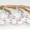 DC24V 18W/M 1008LEDS Flexible COB LED Light Strip RGB LED Light COB Non-waterproof Indoor Decoration Lighting