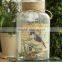 2015 hot-selling wrapped hanging clear vases