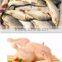 Automatic chicken meat brine injector machine, stainless steel meat injecting machine, brine injector