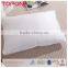 New Style 100% Cotton Cheap Competitive Price Down Pillow