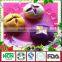 Chinese Frozen Dim Sum Products - Flower Prawn