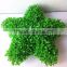 High emultion green decorative artificial star shaped potted bosai