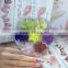 New Design Dry Natrual Flower for Acrylic Nail Art Decoration