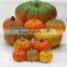 2016 New Artificial Vegetables Home Decoration Garden Decoration Pumpkin
