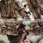 Mossy Oak water transfer printing hydrographics film,high quality , factory price