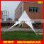 Large Event Exhibition BBQ Camping Star Shade Tents for Sale