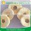 Healthy fruit snack dried apple ring