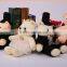 China Cheap Best Made Stuffed Teddy Weeding Custom Plush Soft Toys Bear