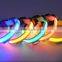 Hot selling led safety collar / led dog collar / Light up collar