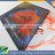 Promotion Gift Diamond Kites Kids Kites Cartoon Advertising Kites Outdoor Toys