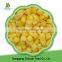 2016 Crop Frozen Yellow Peach Hot Sale