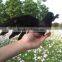 2015 New Hunting Decoy artificial crows wholesale