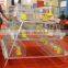 Taiyu Design Day Old Chicks Cage for Sale