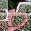 grass pellet machine/straw pellet machine/animal feed pellet making machine