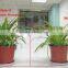 Ecocert Certificated Potassium Humate Crystals With 12% K2O